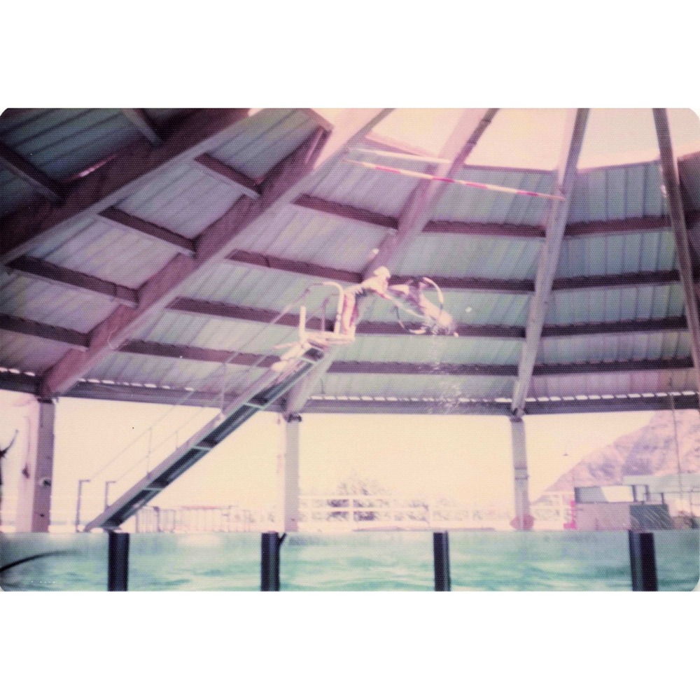Vintage 1970s Sea Life Park Hawaii Dolphin Seal Show Lot of 6 Photos 3.5x5 - Picture 1 of 6